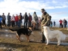 Vatra česko- slovenského priateľstva (31.12.2009)