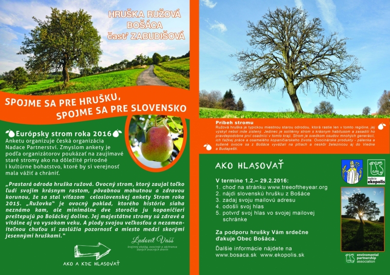 Hruška ružová
