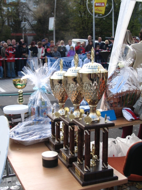 Súťažilo sa o tieto trofeje