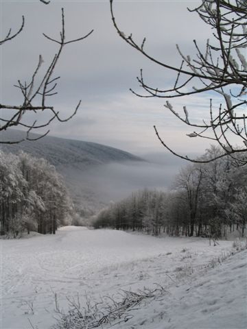 200801020935310.img_2245
