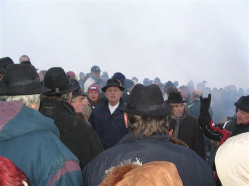 200801020935330.img_2264
