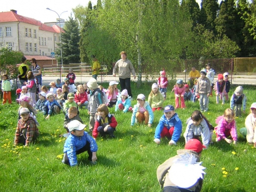 200804251231260.dscn2944