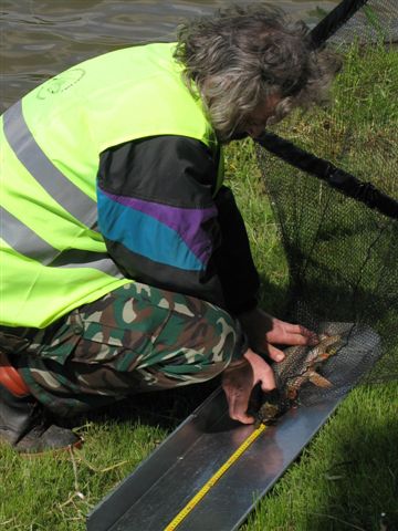 Slovenský pohár v love kaprov voľným spôsobom 