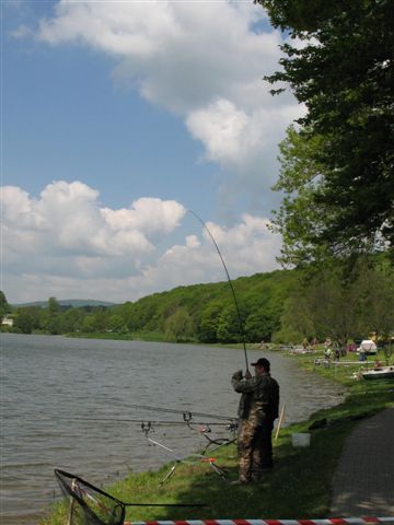 Slovenský pohár v love kaprov voľným spôsobom 
