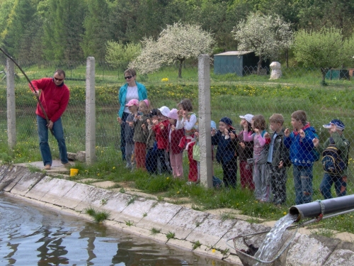 200806201418350.na_rybnickoch_1