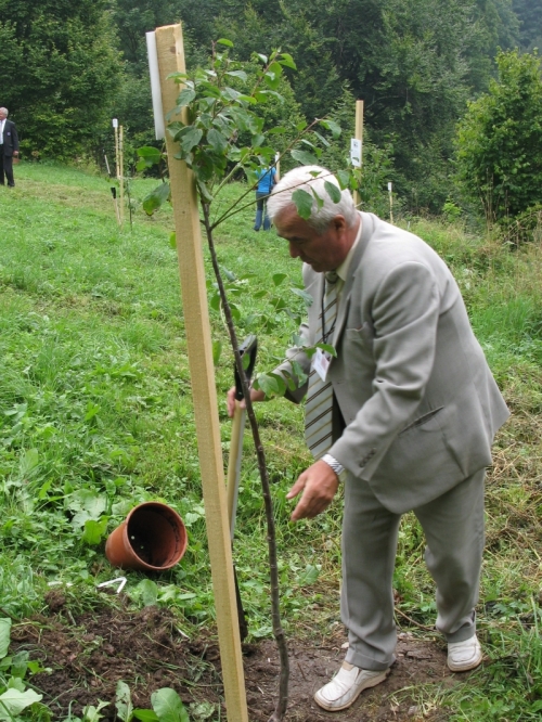 200808251744310.img_4405