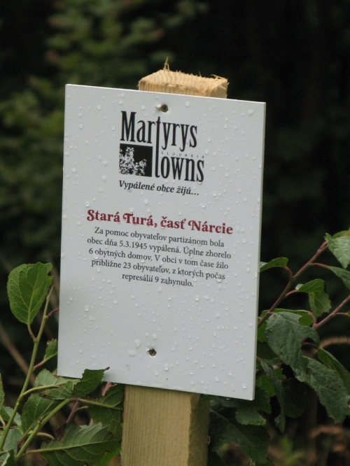 200808251744360.img_4407