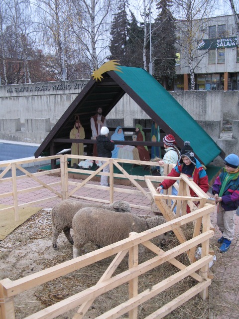 200812160851010.img_6566