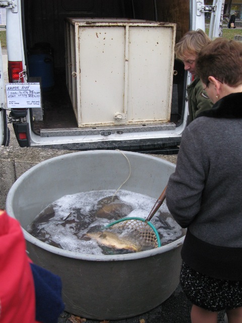 200812160851020.img_6579