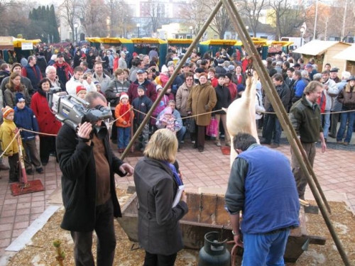 200812160851040.img_6712