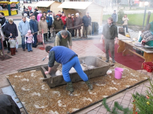 200812160851050.img_6635
