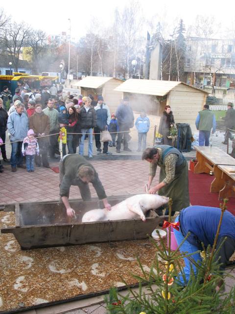 200812160851050.img_6653