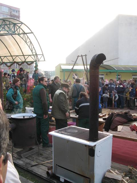 200812160851090.img_6686