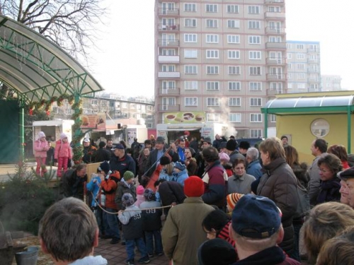 200812160851100.img_6662
