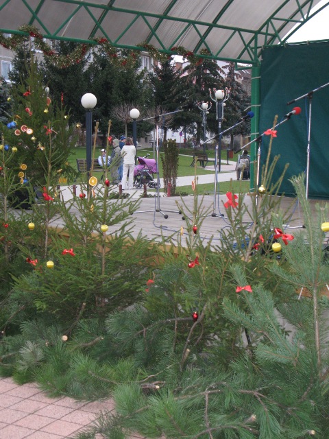 200812160851110.img_6561