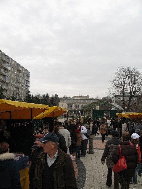 200812160851150.img_6556