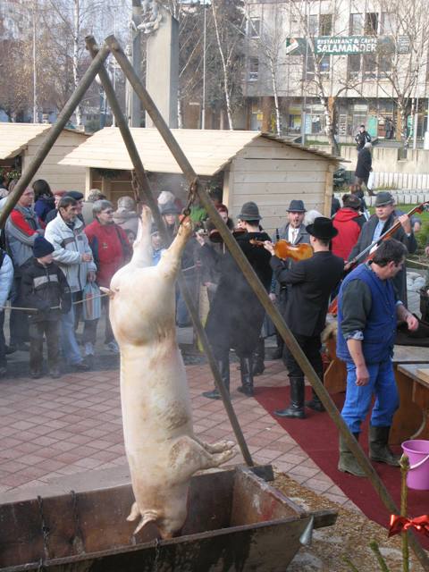 200812160851160.img_6698