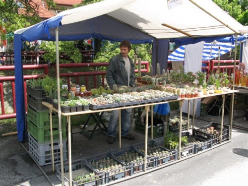 Staroturiansky jarmok  (12. a 13. 6. 2009) 