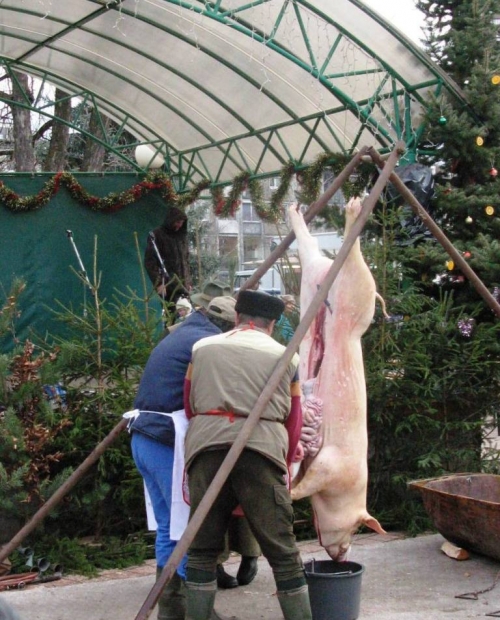 Vianočné trhy (11.12. - 12.12.2009)