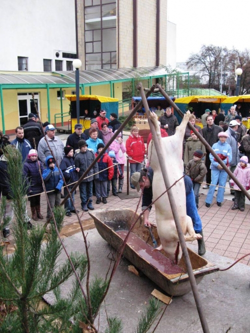 Vianočné trhy (11.12. - 12.12.2009)