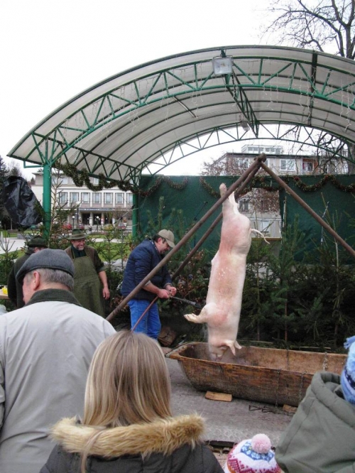 Vianočné trhy (11.12. - 12.12.2009)