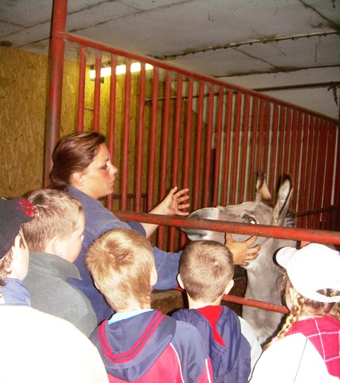 Na farme na Bukovci