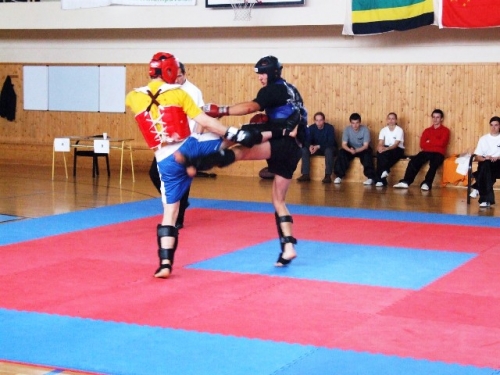 Národný Turnaj vo Wushu Stará Turá 2010 (1. mája 2010)