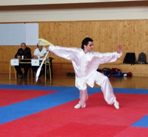 Národný Turnaj vo Wushu Stará Turá 2010 (1. mája 2010)