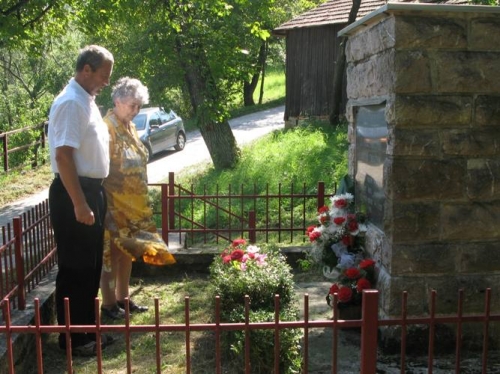 Nárcie