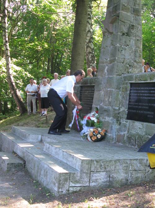 Nárcie
