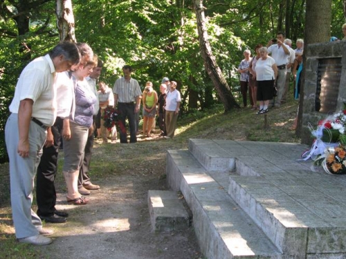 Nárcie