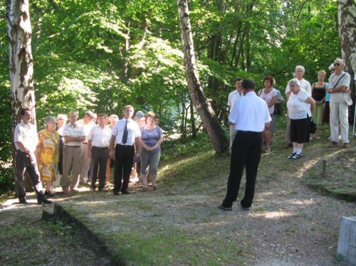 Nárcie