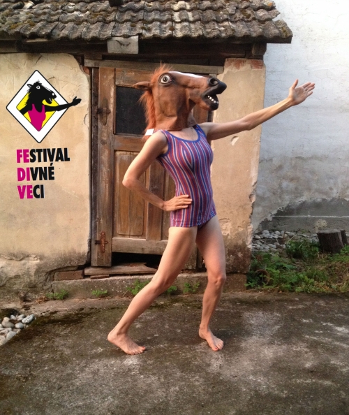 Festival DIVNÉ VECI