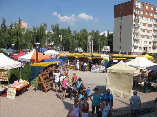 201508181124520.img-7678