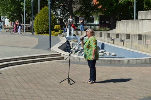 201805111357490.dsc-0108