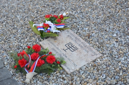 201805111357500.dsc-0156