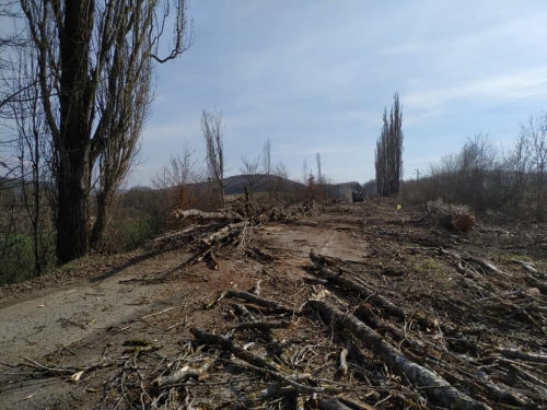 201903251111390.54516820-261117814833176-8246470146147745792-n
