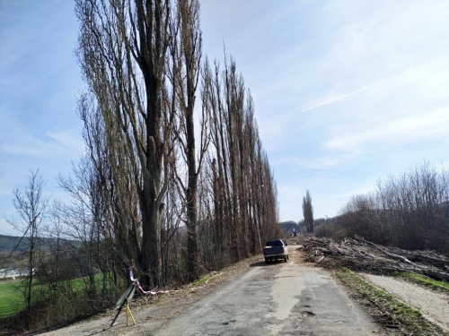 201903251111400.54800084-261117781499846-7945909266781569024-n