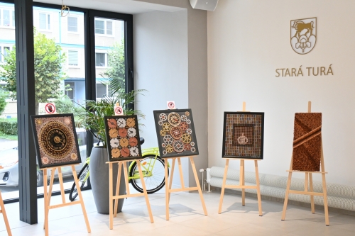 Umenie recyklácie: Kreativita a inšpirácia v Starej Turej