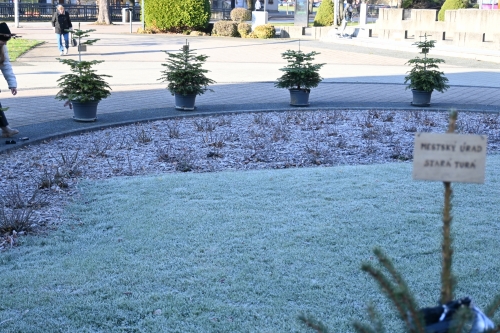 Adventná nálada ožíva v meste Stará Turá!