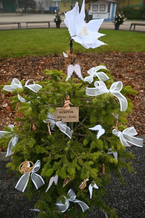 Adventná nálada ožíva v meste Stará Turá!