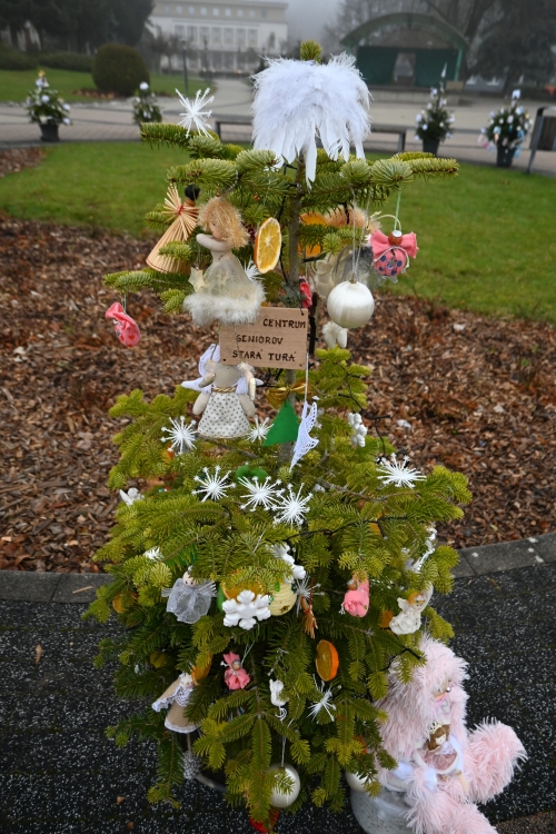 Adventná nálada ožíva v meste Stará Turá!