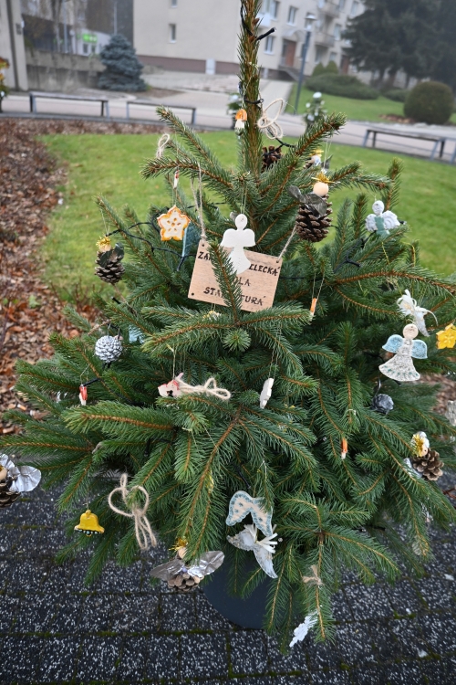 Adventná nálada ožíva v meste Stará Turá!