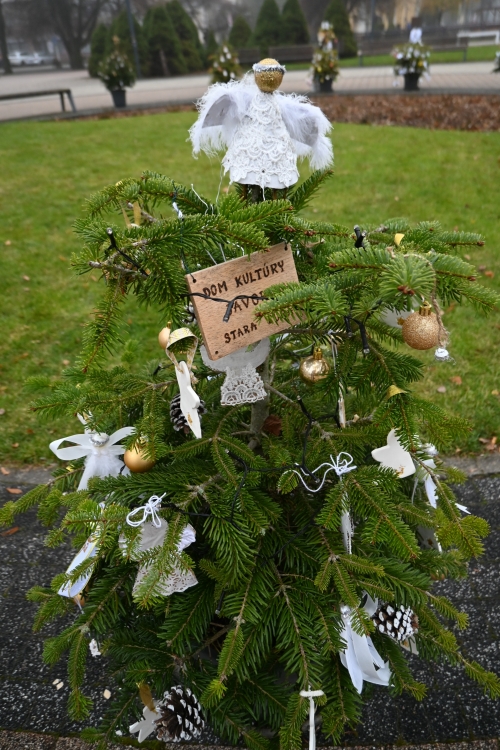 Adventná nálada ožíva v meste Stará Turá!