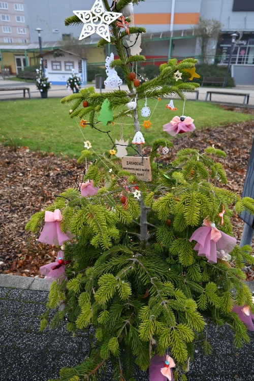 Adventná nálada ožíva v meste Stará Turá!