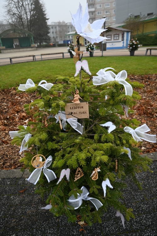 Adventná nálada ožíva v meste Stará Turá!