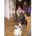 Na farme