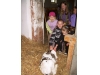 Na farme