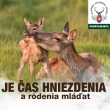 Je čas hniezdenia a rodenia mláďať