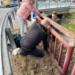 NATRIME TO ZÁBRADLIU PRI POTOKU! – Dobrovoľníci v Starej Turej skrášlili verejný priestor